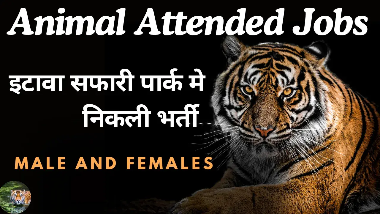 Latest Animal Attended Jobs Recruitment 2024