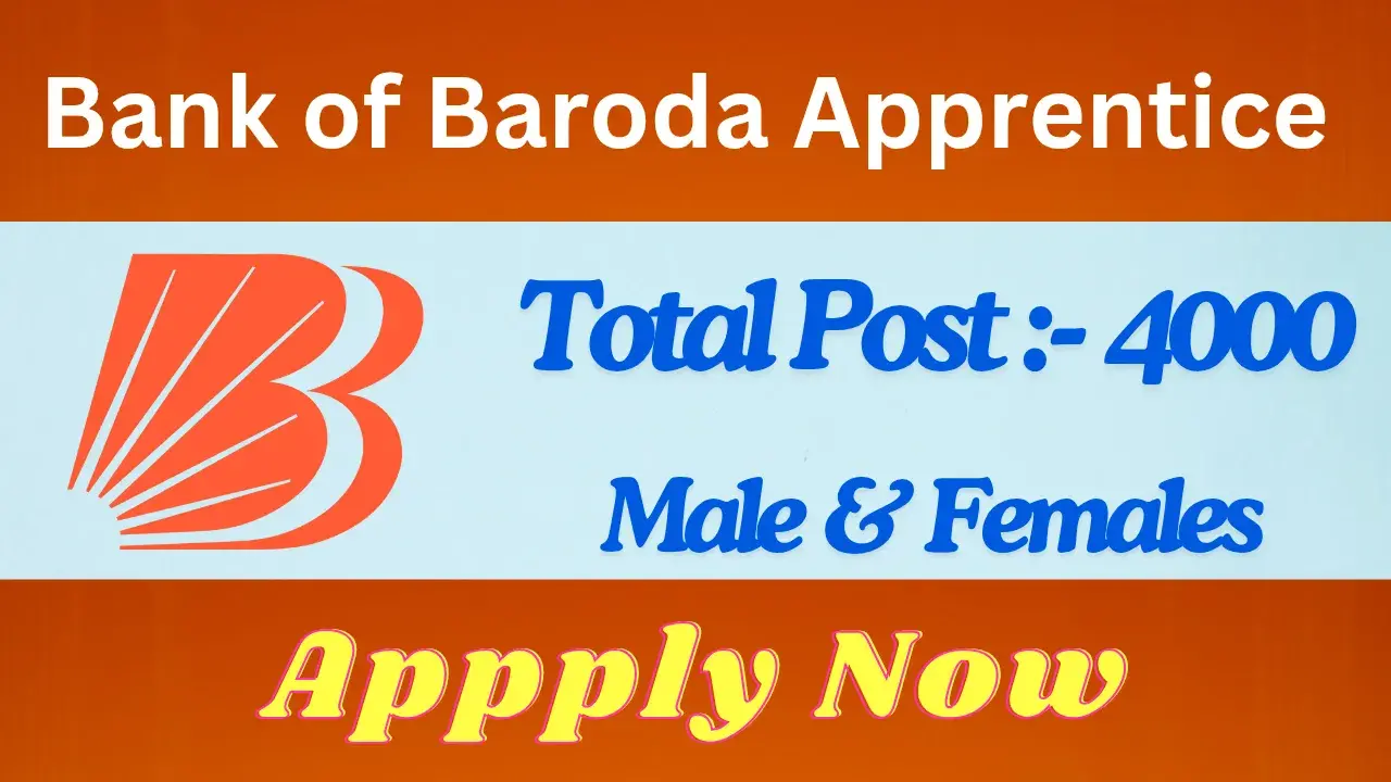 Bank of Baroda Apprentice