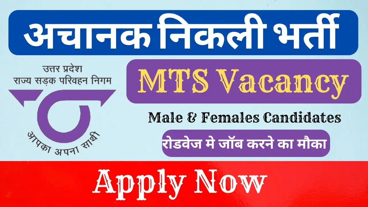 MTS Vacancy