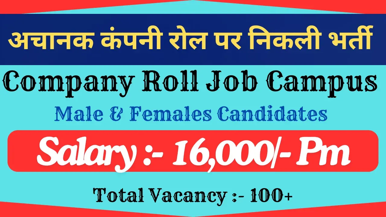 Company Roll Job Campus